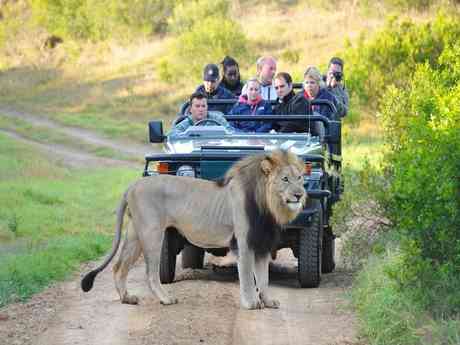 Affordable Garden Route & Safari Family Holiday
